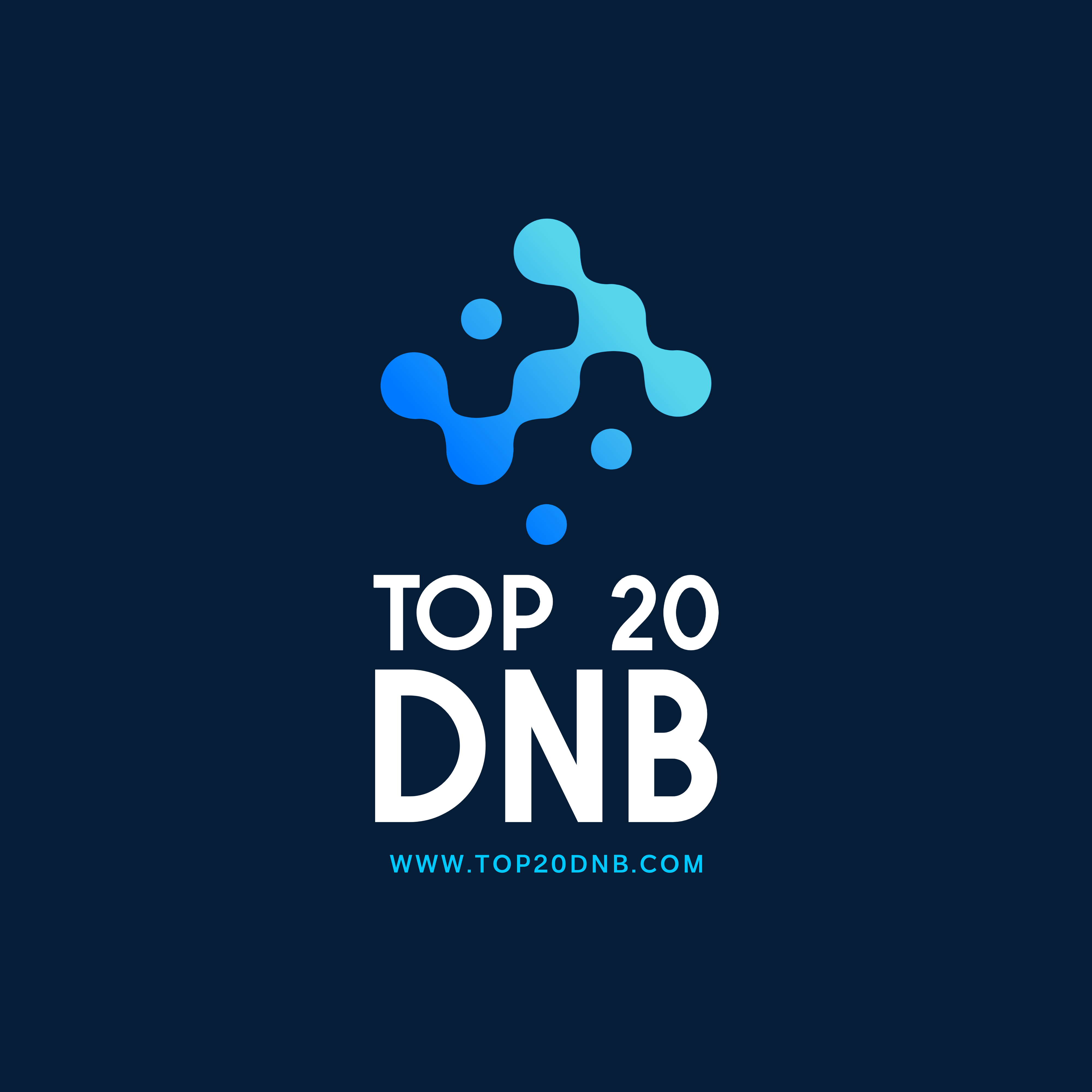 Top 20 Drum n Bass of 2012 archive image